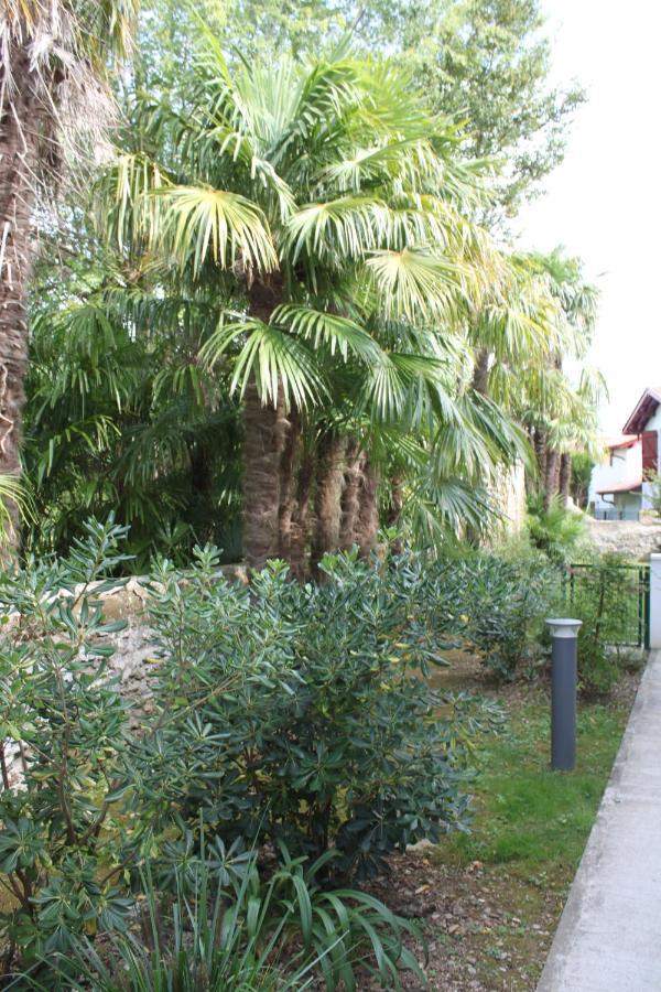 Chalet Ilona Cambo-les-Bains Εξωτερικό φωτογραφία